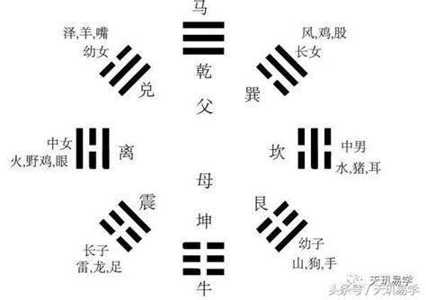 64卦記憶法|易學：如何在短時間內記住《易經》中的64卦